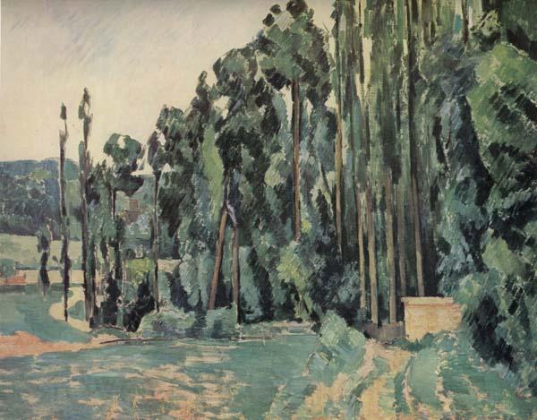 Paul Cezanne The Poplars Norge oil painting art